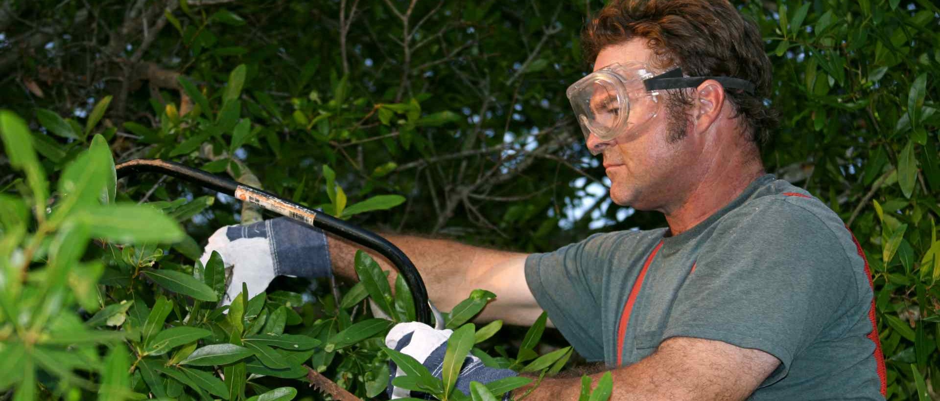 garden clearance KT11